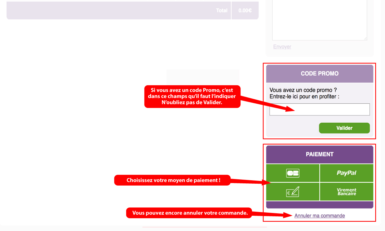 paiement commande et code promo (champs à remplir)